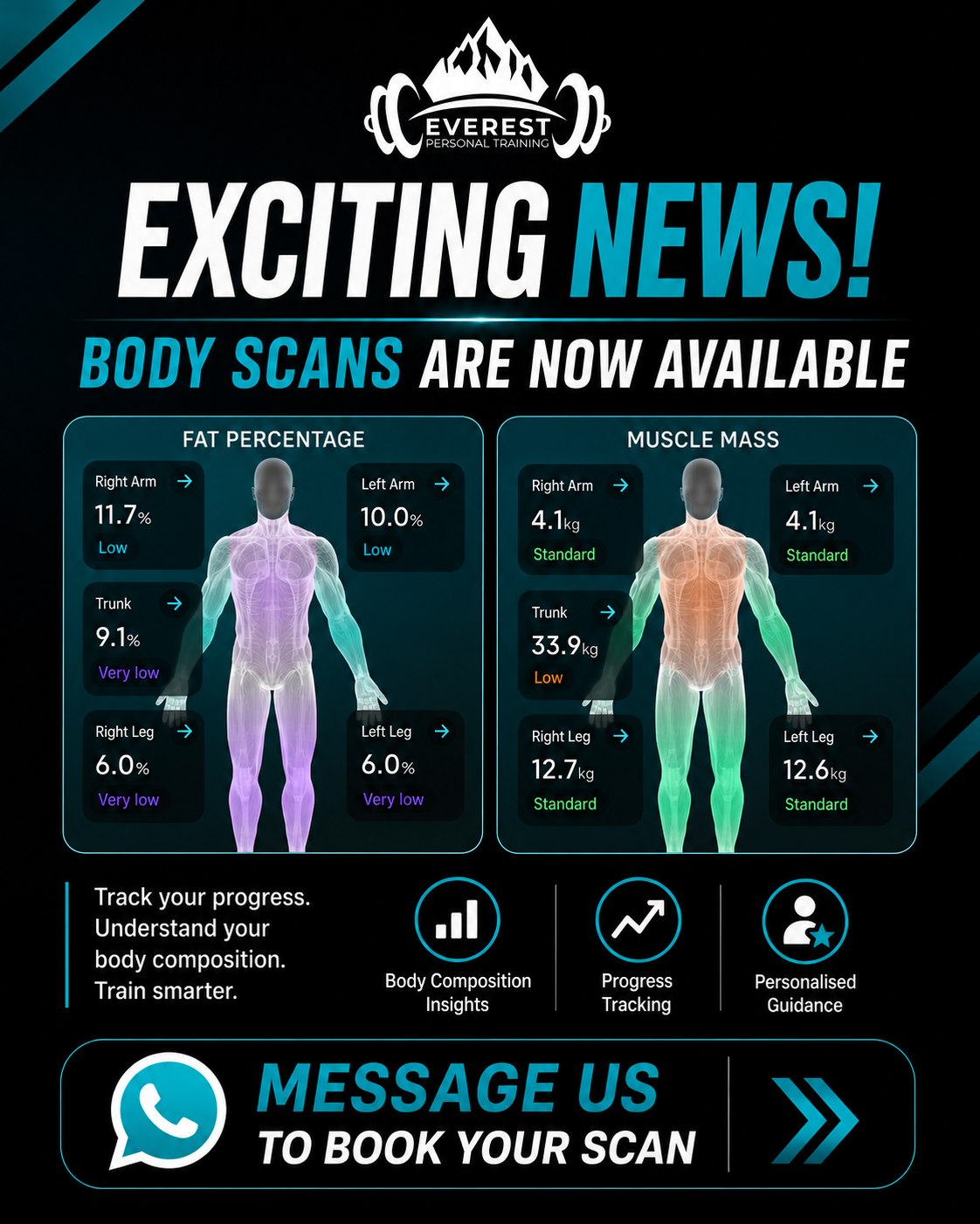 What Body Scans Can Teach You: Visceral Fat, Muscle Mass and Smarter Progress Tracking