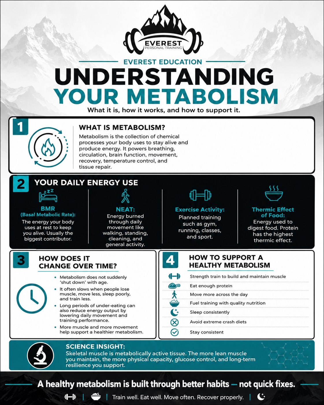 Understanding Your Metabolism: The Engine Behind Training, Energy and Body Composition