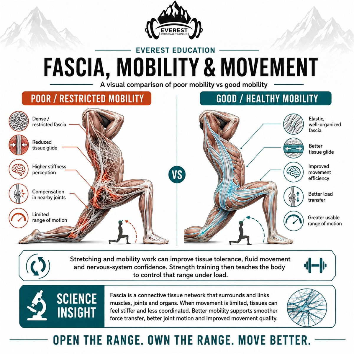 Strength and Mobility: Why Yoga and Resistance Training Belong Together